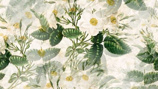 Spring Floral Wallpapers for a Fresh Start