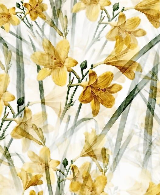 Summer Tropical Wallpapers for Bright Rooms