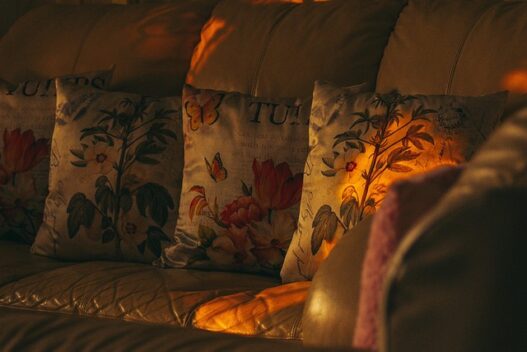 Animal-Themed Wallpapers for Toddler Bedrooms