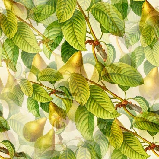Yellow Wallpapers for Cheerful Kitchen Vibes