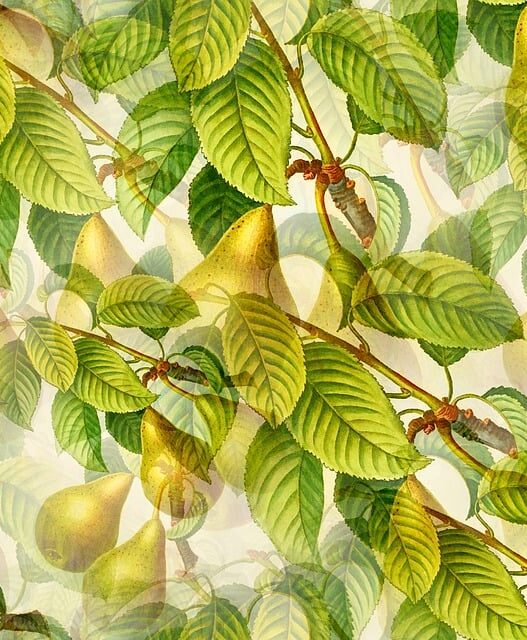 Yellow Wallpapers for Cheerful Kitchen Vibes