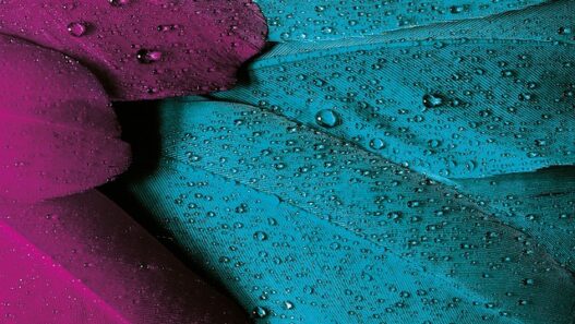 Velvet-Textured Wallpapers for Luxe Vibes