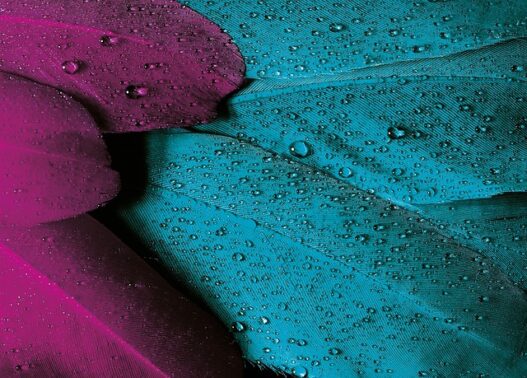 Velvet-Textured Wallpapers for Luxe Vibes