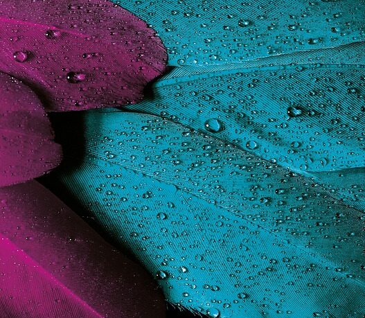Velvet-Textured Wallpapers for Luxe Vibes