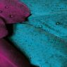 Velvet-Textured Wallpapers for Luxe Vibes