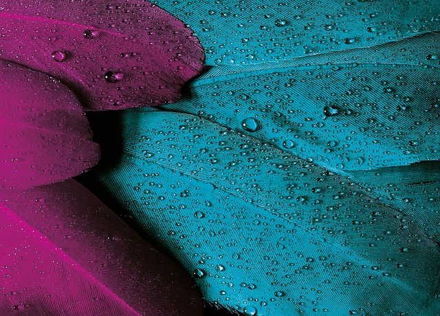 Velvet-Textured Wallpapers for Luxe Vibes