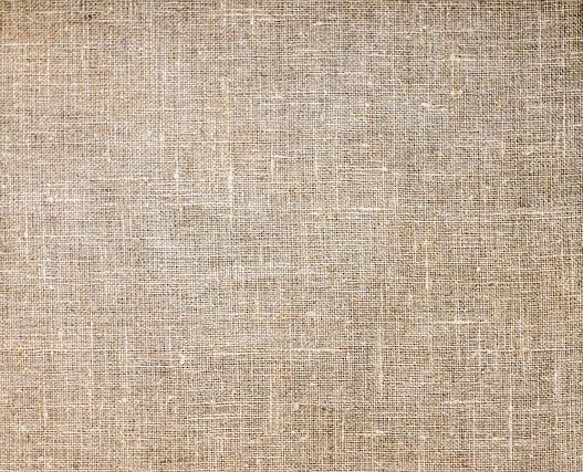 Vintage Toile Wallpapers for Classic Style